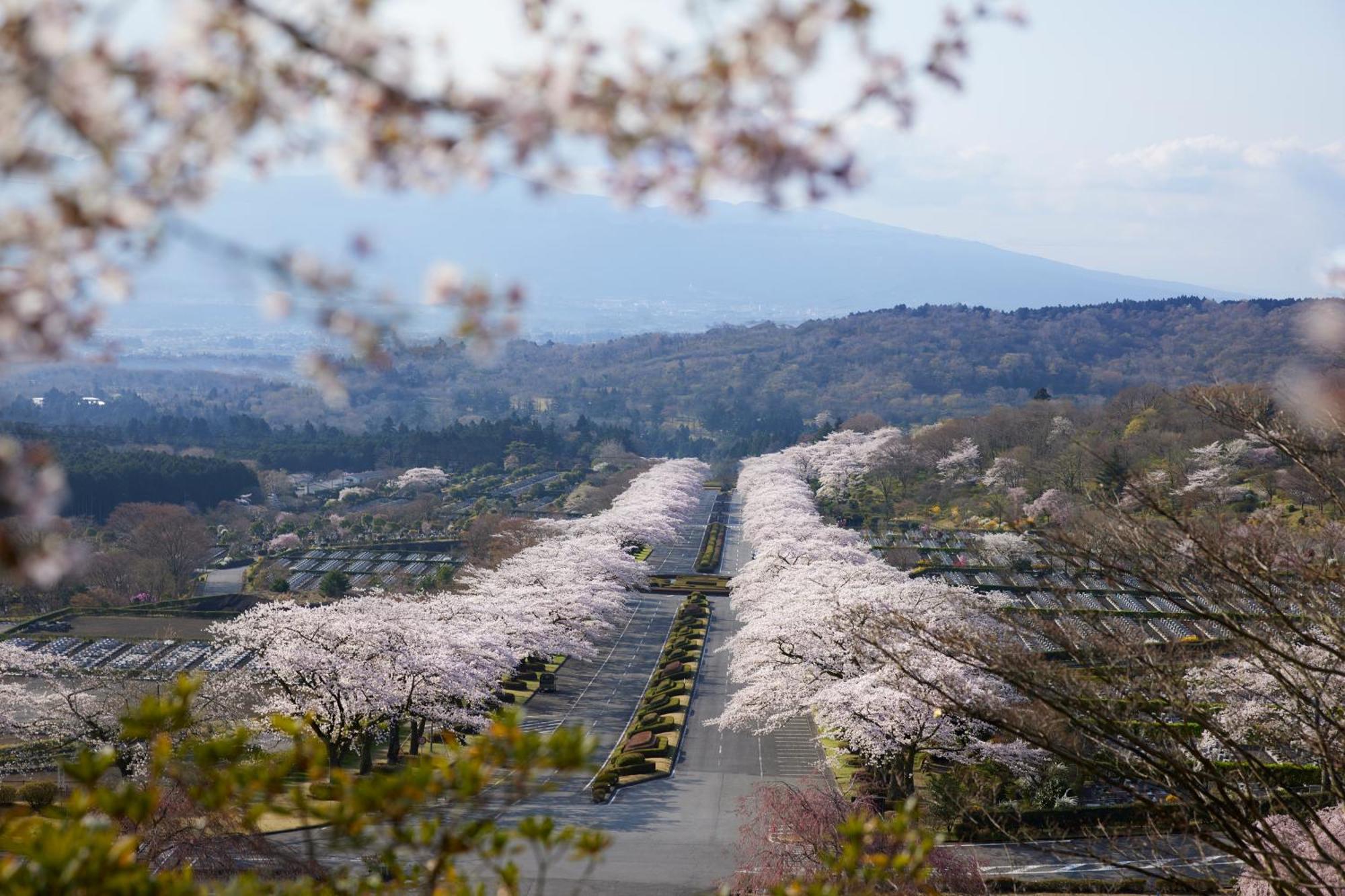 Oyama  Fuji Speedway Hotel, In The Unbound Collection By Hyatt מראה חיצוני תמונה